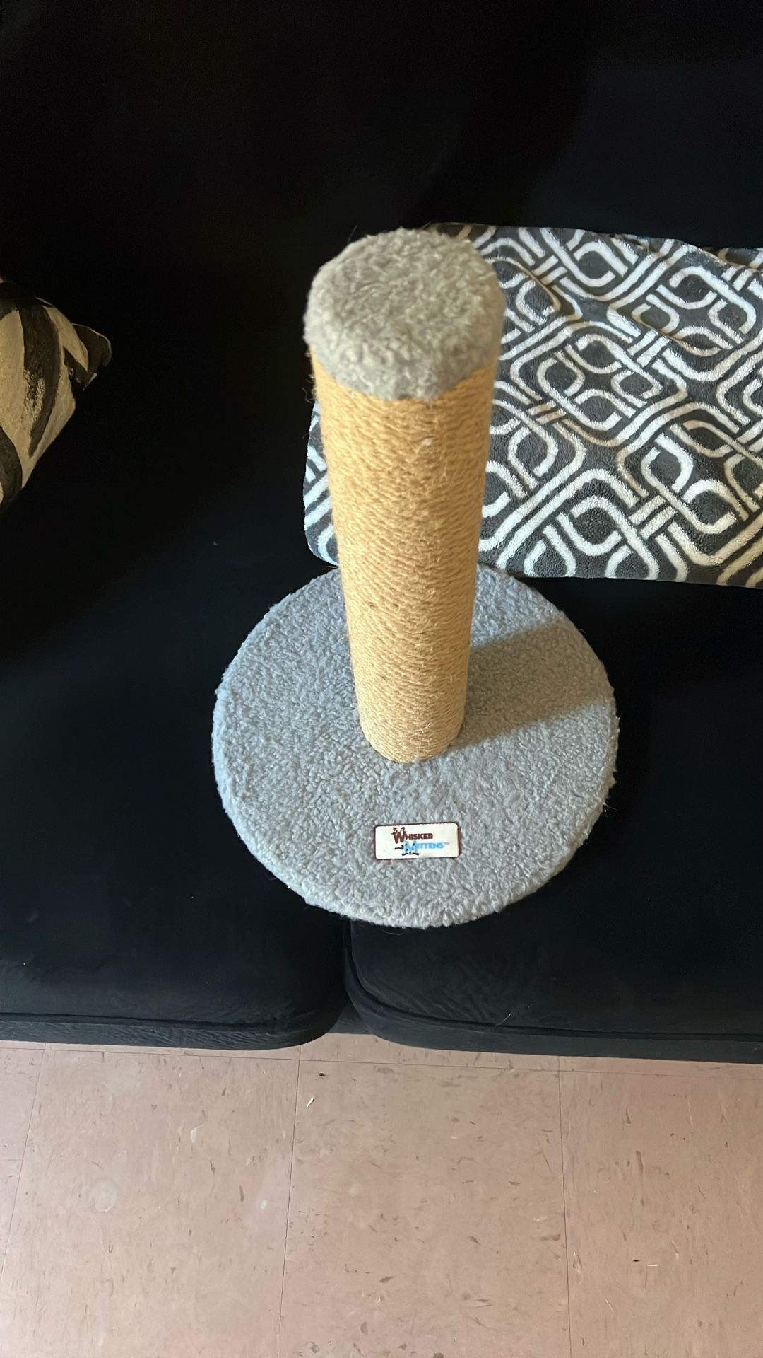 Cat Toys 