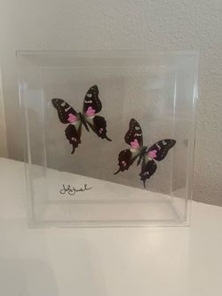 Butterfly box