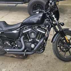 TAKING OFFERS Harley Davidson 883
