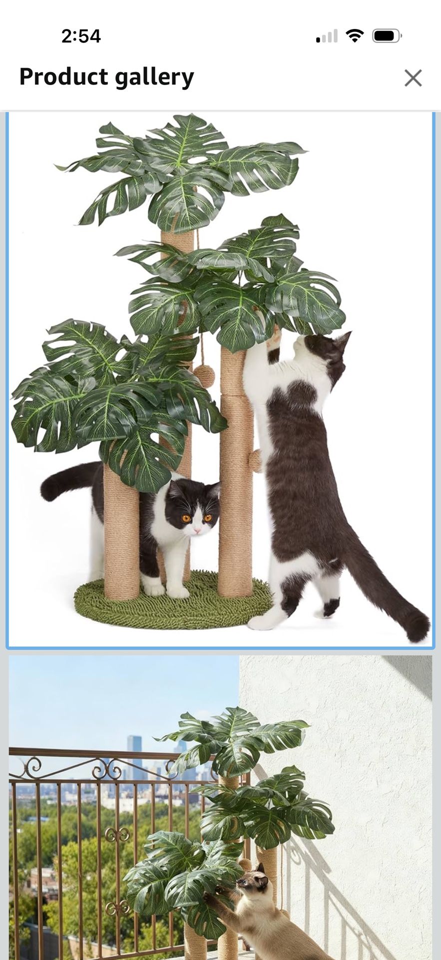 31.5Inch Cat Scratching Post,Cat Scratcher Tree with 3 Scratching Poles & 2 Interactive Dangling Balls,Cats Scratching Posts for Indoor Kitten & Adult