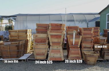 Wood Boxes - Nursery Pots 