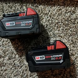 2 Milwaukee M18 Red Lithium XC 5.0 Batteries 