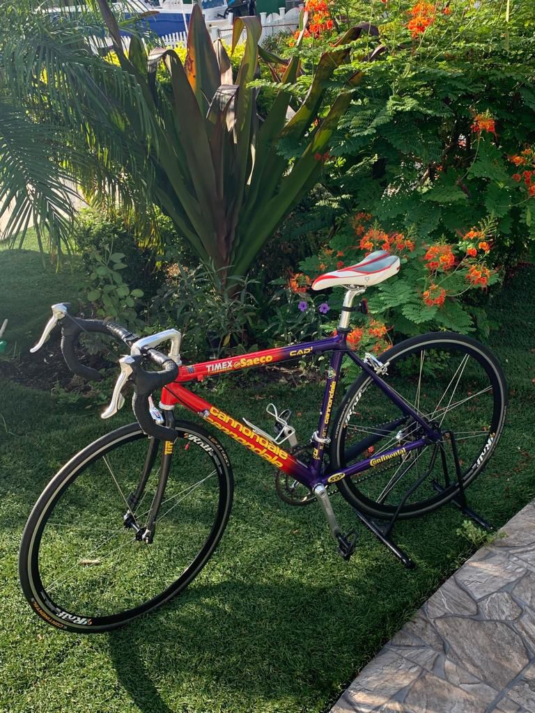🚵‍♀️💥Classic CANNONDALE Cad 3//54cm💎Great Condition//💥Full Dura-ACE Parts