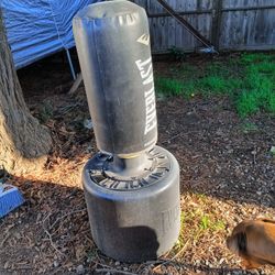 Standing Punching Bag
