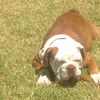 Rick