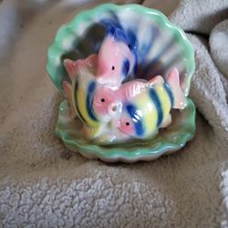 Vintage sea shell & fish firm price $ 25 bucks pick up only 865 Ellsworth avenue right off of East L Livingston avenue Columbus Ohio 43206 5 minutes a