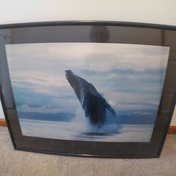 Framed print
