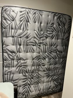 Queen Mattress Sealy Medium Firm