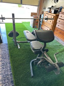 Gold gym Weight Bench with Preacher Curl & Leg Developer – Home Gym Setup