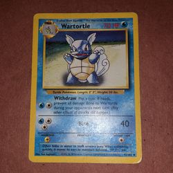 1995 Wartortle