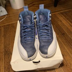 jordan 12 indigo size 12 