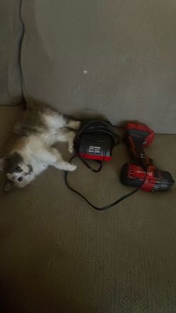 drill and rapid charger