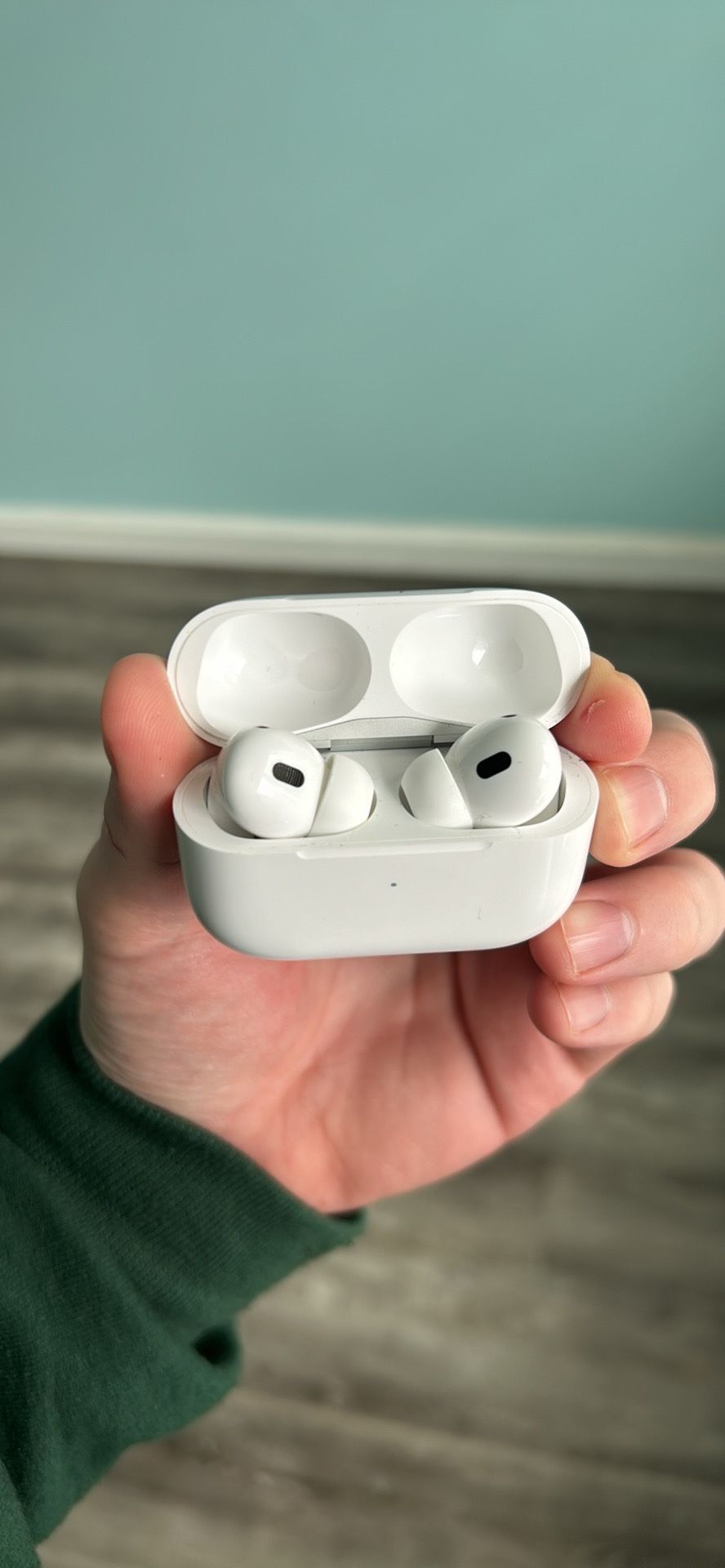 APPLE AIRPODS PRO (2ND GEN USB-C)-AMEN