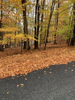 Building lot for sale