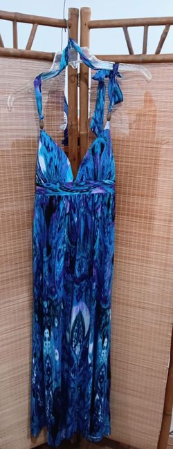 Ladies Never Worn Alyn Paige dress