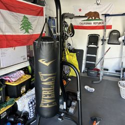 Everlast Heavy bag And Speed Bag Combo Set