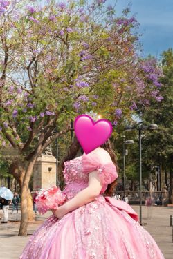 Quince dress size 16-18