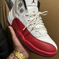 Air Jordan Retro 12s Size10