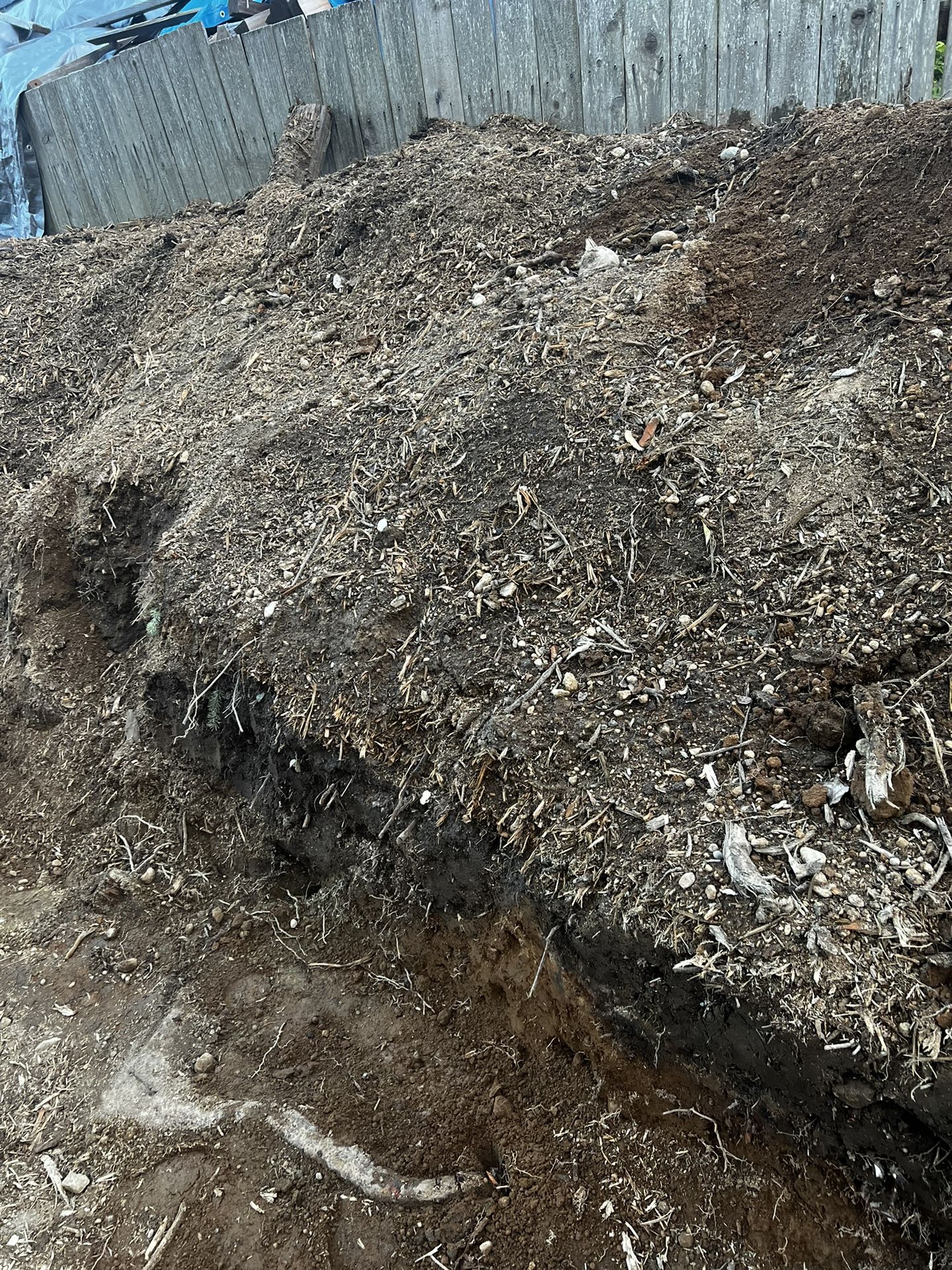 Free Soil