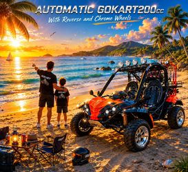 Summer Special Gas Gokart200CC with Reverse