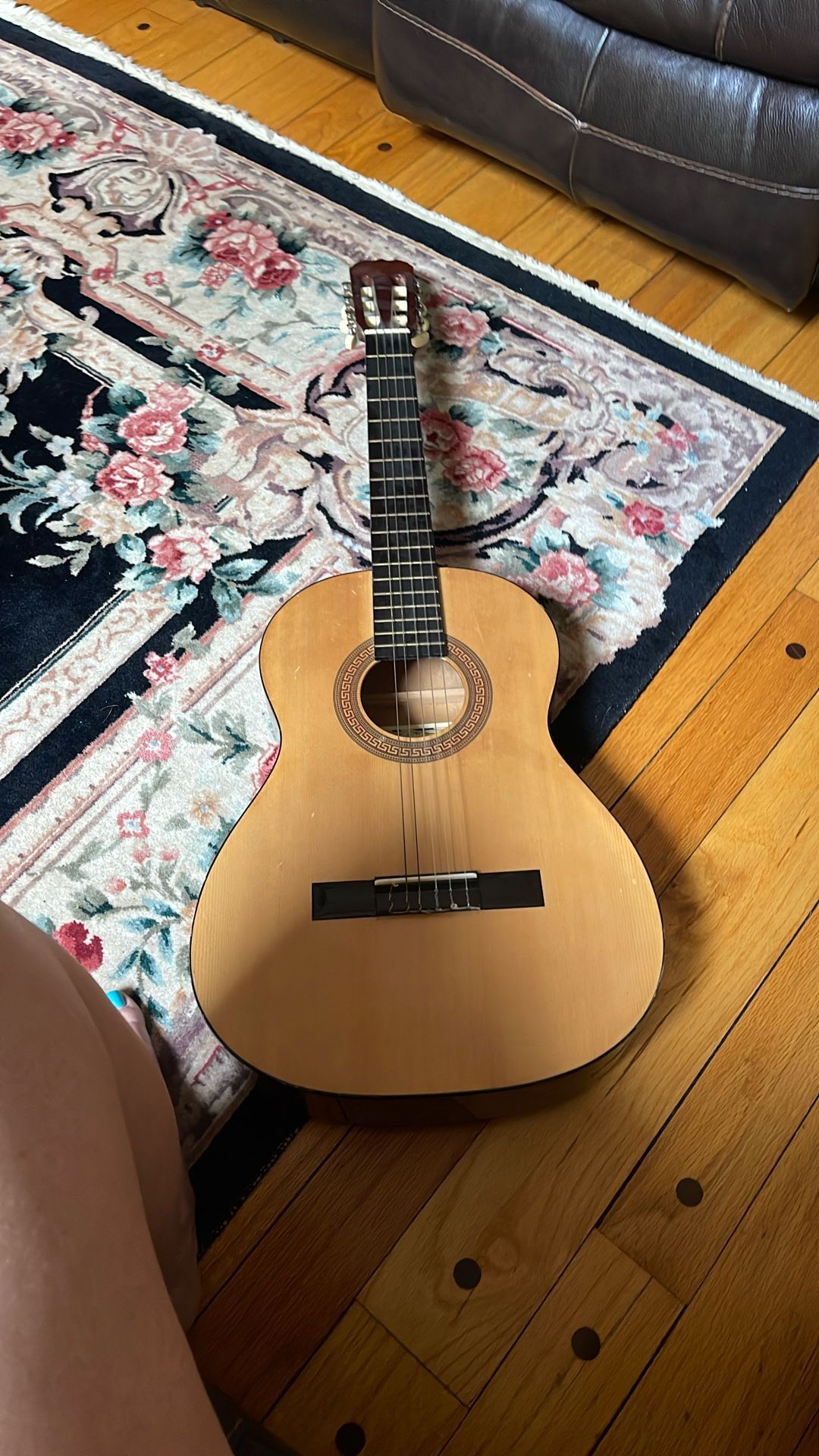 hohner guitar