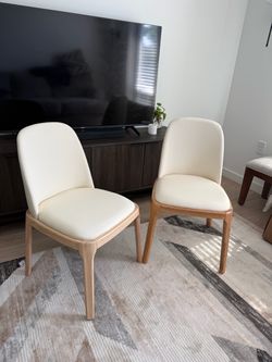 Modern Dining Chairs Set of 2