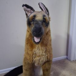 Stuffed Animal Dog - Over 2ft Tall