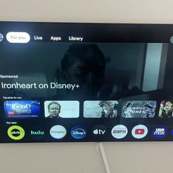 65” LG TV