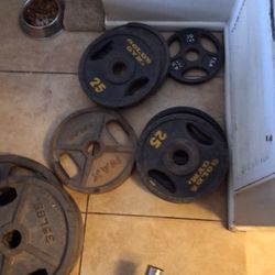 Weight Lifting Weights Golds Gym (Others) Curl Bar
