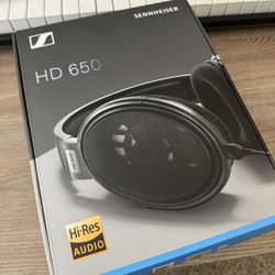 HD650 Sennheiser Mastering headphones 