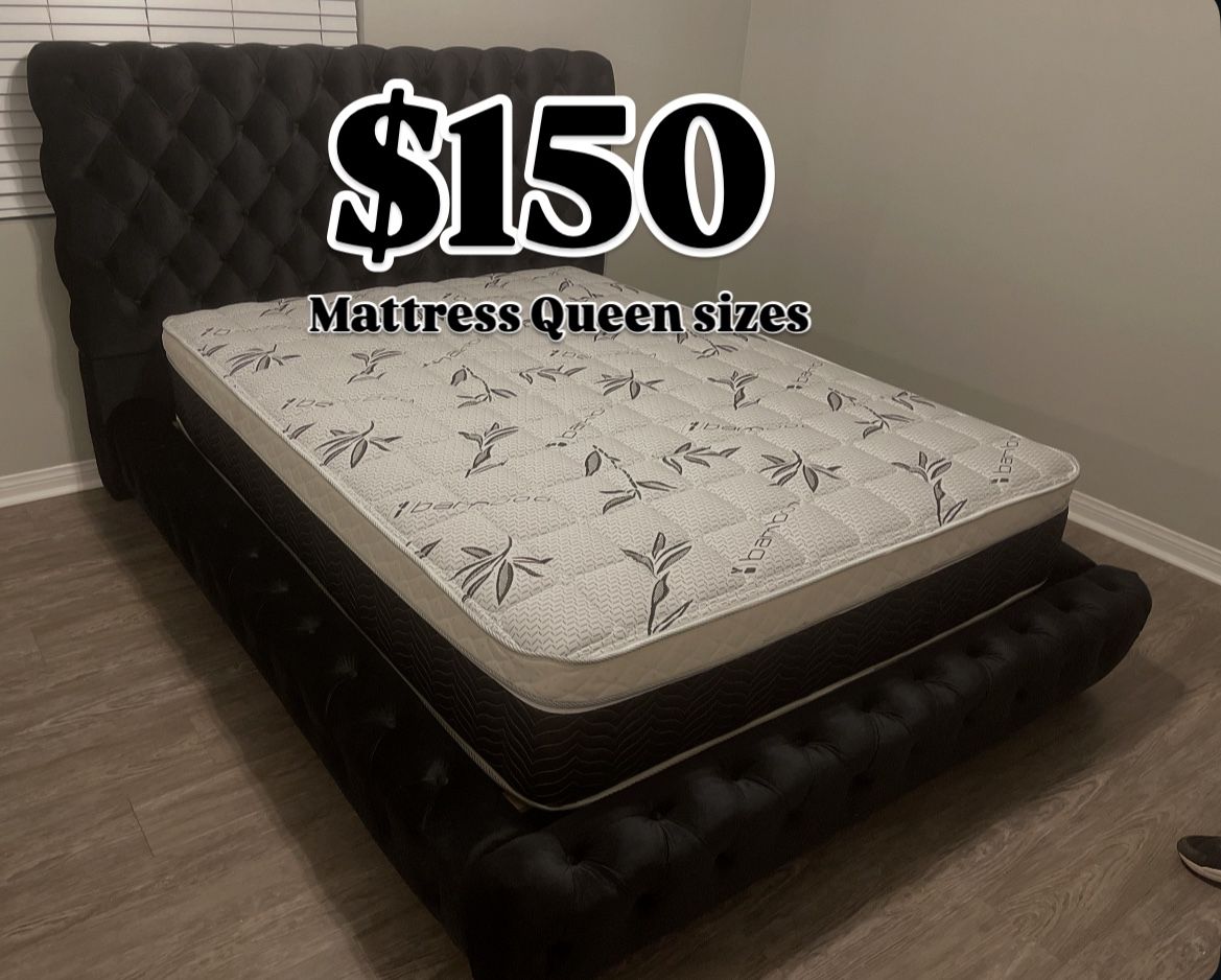 Mattress Queen Sizes 