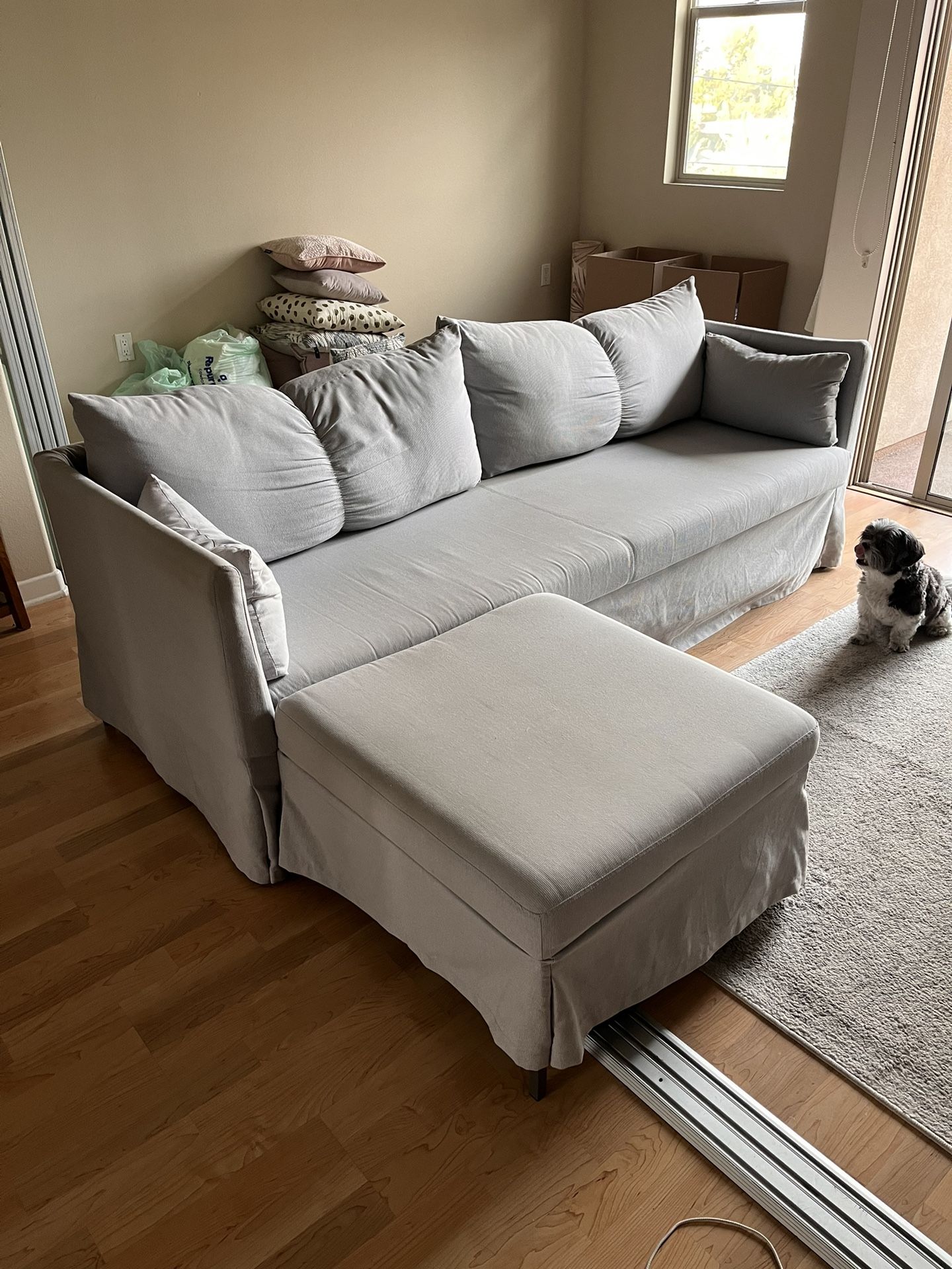 IKEA Sandbacken Sectional Sleeper Sofa