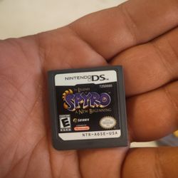 Nintendo DS 