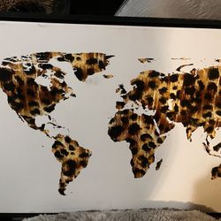 Leopard Picture