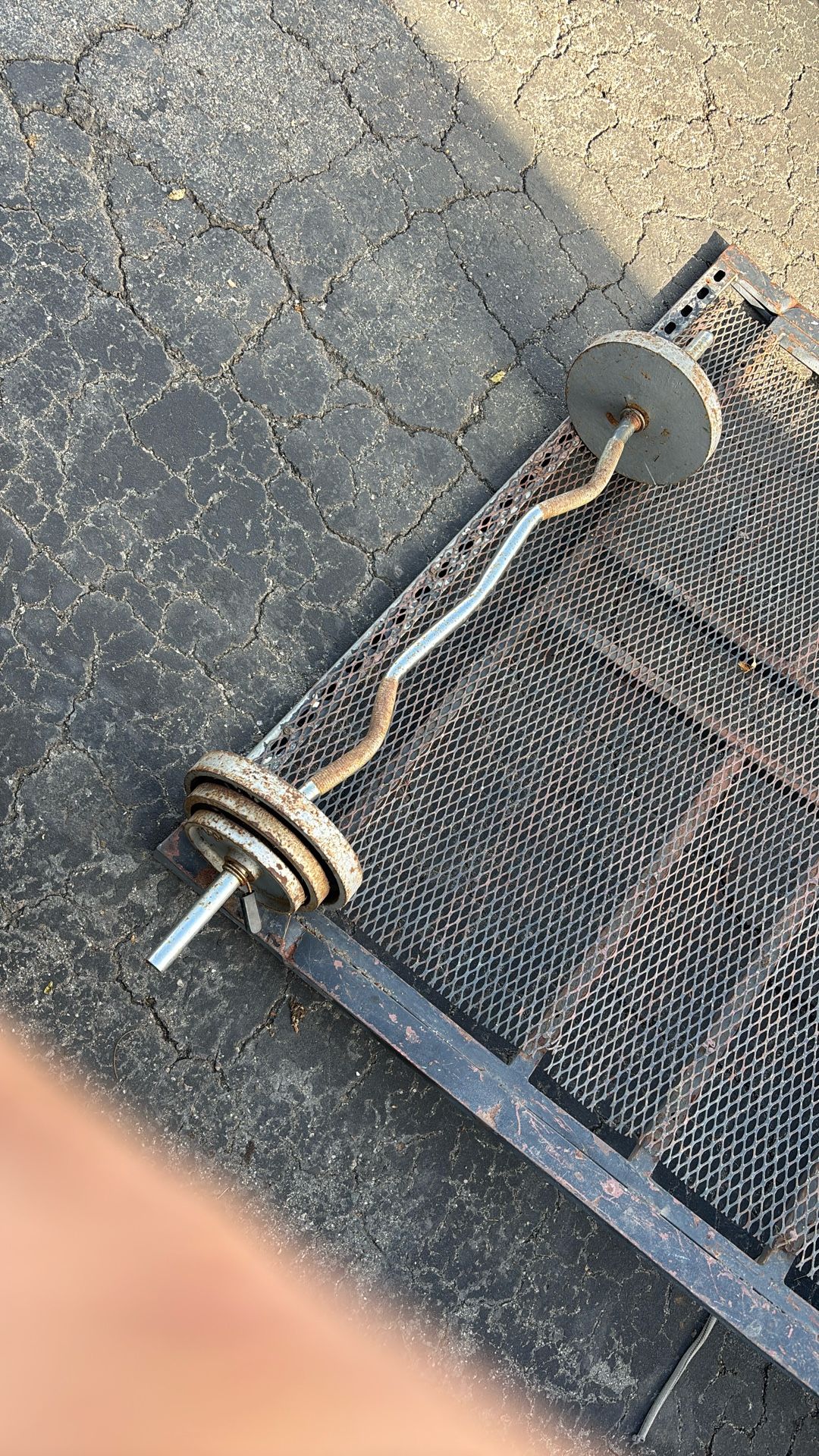 Curl Weightlifting Bar