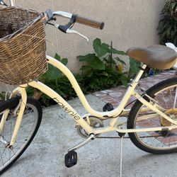Women’s Beach Cruiser : townie 