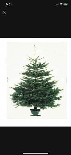 IKEA Canvas Tree Mural 5’ X 7’