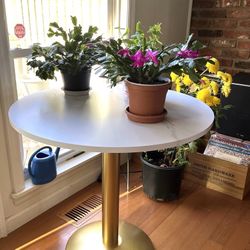 Round Modern Dinning Table 30 inches Bistro Tulip Table with White Faux Marble top Gold Sturdy Metal Frame