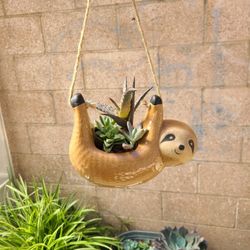 Sloth Planter Succulent Arrangement 