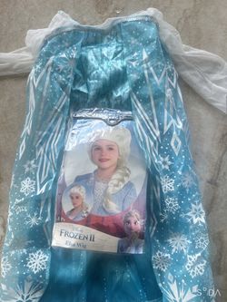 Disney Frozen II Elsa Costume Dress and Wig
