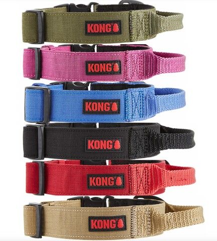 Kong Collars And Leashes!!!