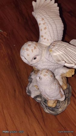Glass porcelain owls
