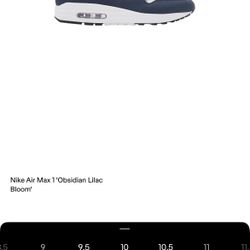 Nike Air Max 1 Obsidian Lilac Bloom Size 10 Men Sku#FD 9082–001