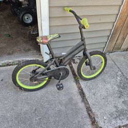 Ninja Turtle Bike