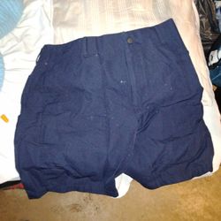 Large North Face Shorts