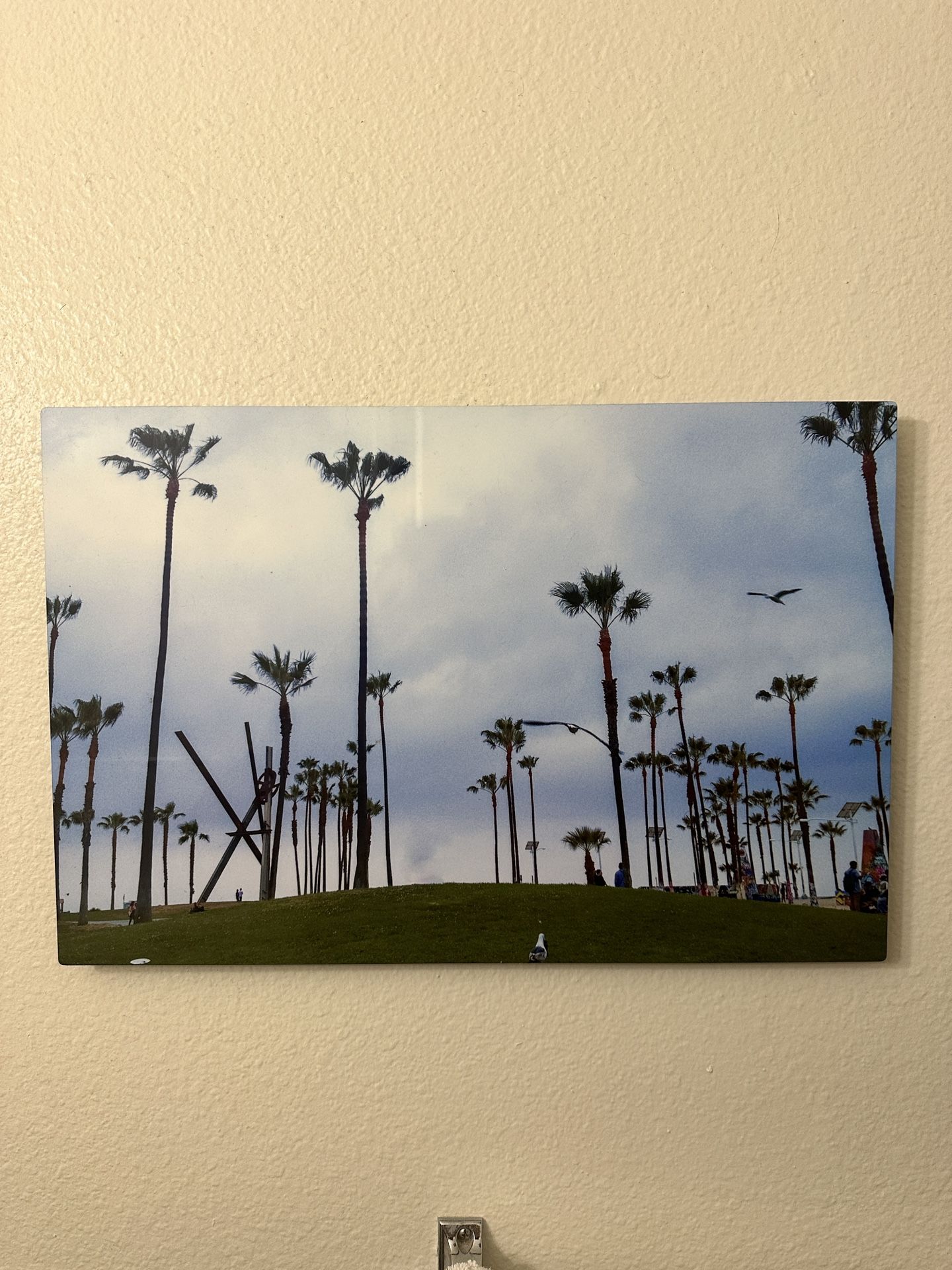 Venice Beach Photography