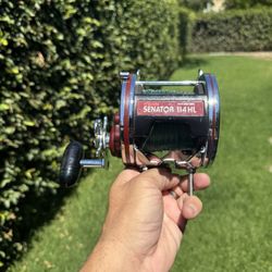 🎣 Penn Senator 6/0 114HL Trolling Reel – Spectra Backed, Ready to Fish!