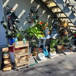 Big plant yard sale open today!