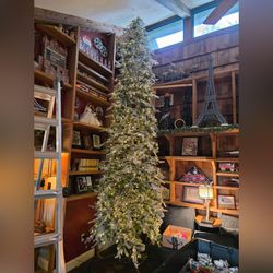 15' Pre-Lit Flocked Pencil Spruce artificial Christmas tree with 1400 Led Lights