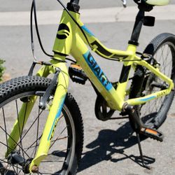 Giant 20” Kids Bike Rides Great No Issues